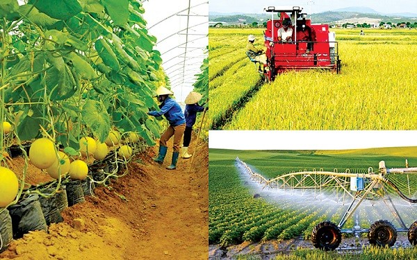 Triển khai Chương trình mục tiêu quốc gia giảm nghèo bền vững giai đoạn 2021-2025