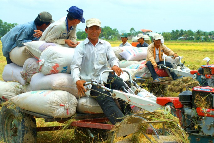 Ngành nông nghiệp: Đầu tư công cho nghiên cứu khoa học sẽ đạt 5% tổng đầu tư