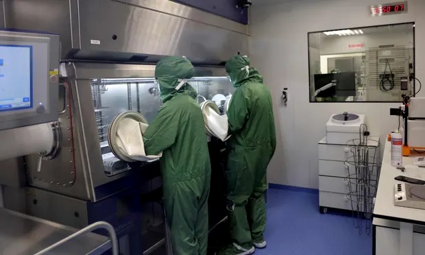 Liệu pháp tế bào CAR-T mở ra triển vọng trong điều trị ung thư dạ dày