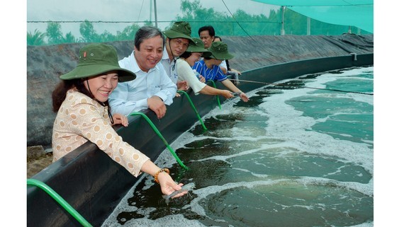 TPHCM: Các mô hình nuôi trồng thủy sản bền vững cho huyện Cần Giờ