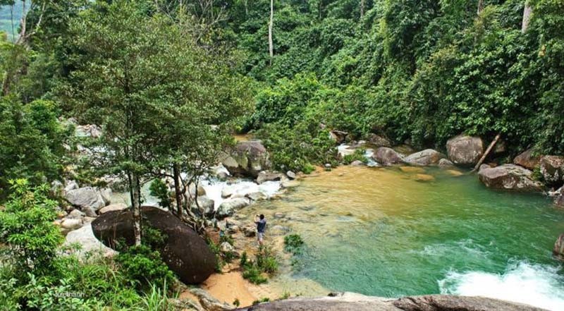 Thanh Hoá quy hoạch vùng sinh thái rừng đầu nguồn hơn 58.000ha