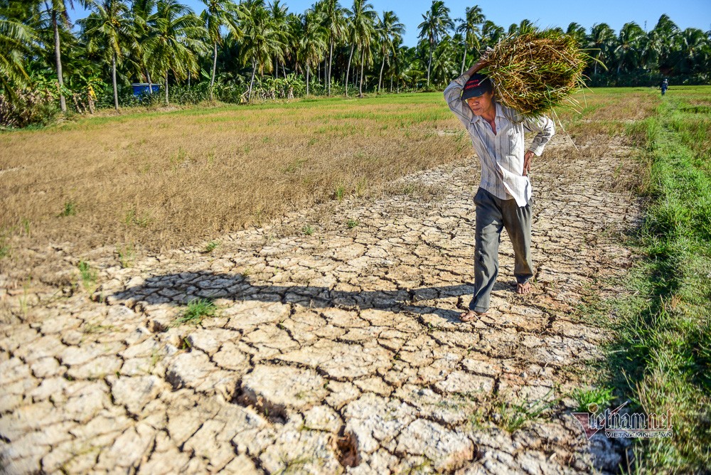 Việt Nam có thể thiệt hại tới 14,5% GDP do biến đổi khí hậu vào năm 2050