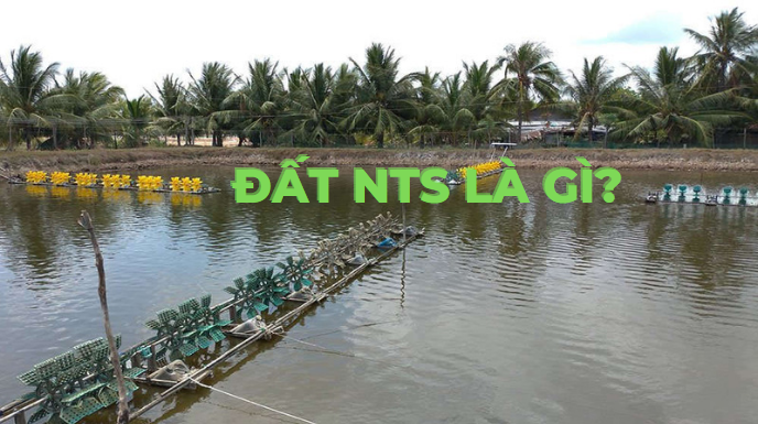 Đất NTS là gì, có lên thổ cư được không?