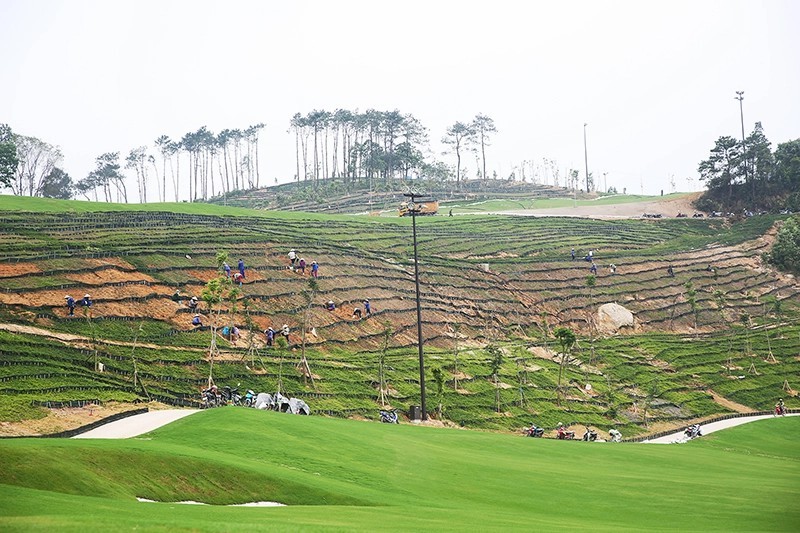 Sân golf Ngôi Sao Hạ Long “nuốt” hơn 80 ha đất rừng phòng hộ