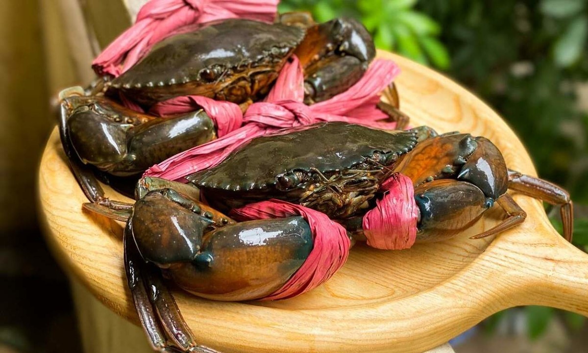 Cua ghẹ Việt Nam “đua nhau” xuất khẩu sang thị trường Mỹ, Trung Quốc, Nhật: Nguyên nhân là do đâu