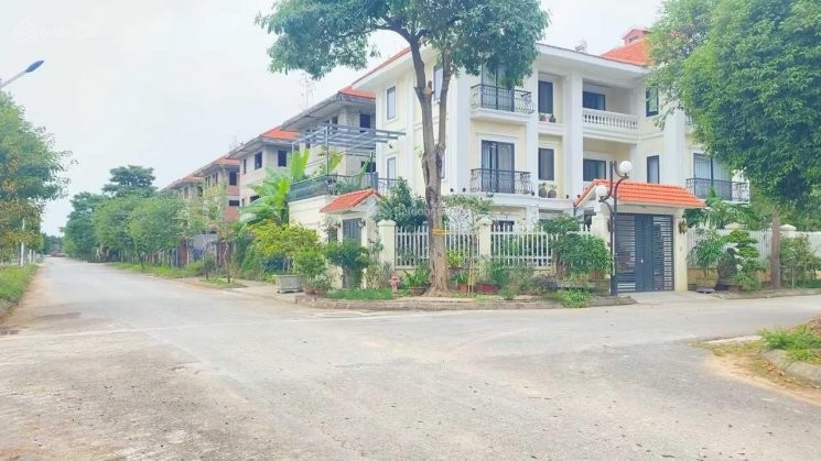 Làn sóng cắt lỗ bắt đầu xuất hiện, nhà đầu tư trường vốn vào cuộc bắt đáy