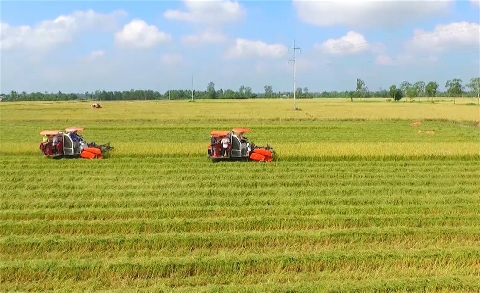 Quy định gia hạn thời hạn sử dụng đất nông nghiệp