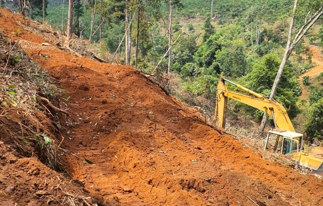 Đề nghị Công ty cổ phần Đầu tư du lịch Sài Gòn - Đại Ninh xử lý đất lâm nghiệp bị lấn, chiếm, xây dựng trái phép
