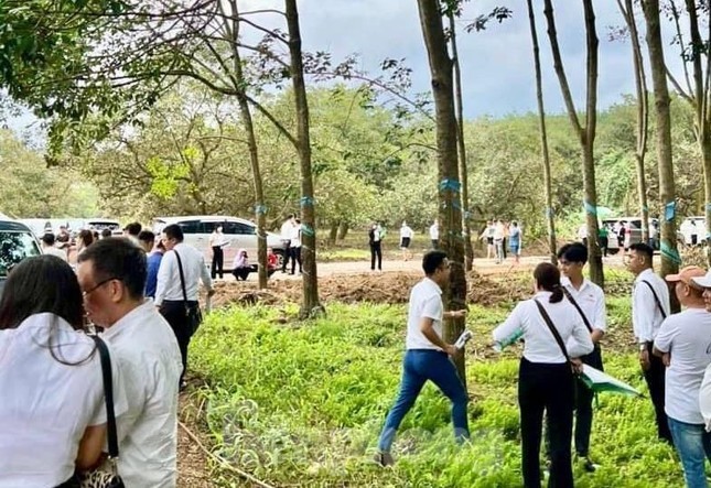 Môi giới tung chiêu "thao túng tâm lý", lừa khách đi xem đất