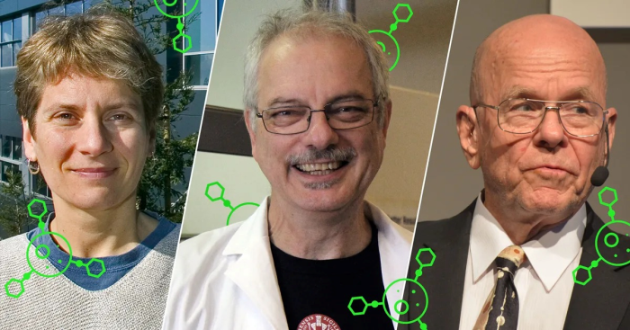 Giải Nobel Hóa học 2022: Hóa học click và ứng dụng trong nghiên cứu tế bào sống