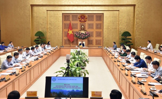 Hội đồng thẩm định thông qua Quy hoạch lâm nghiệp quốc gia