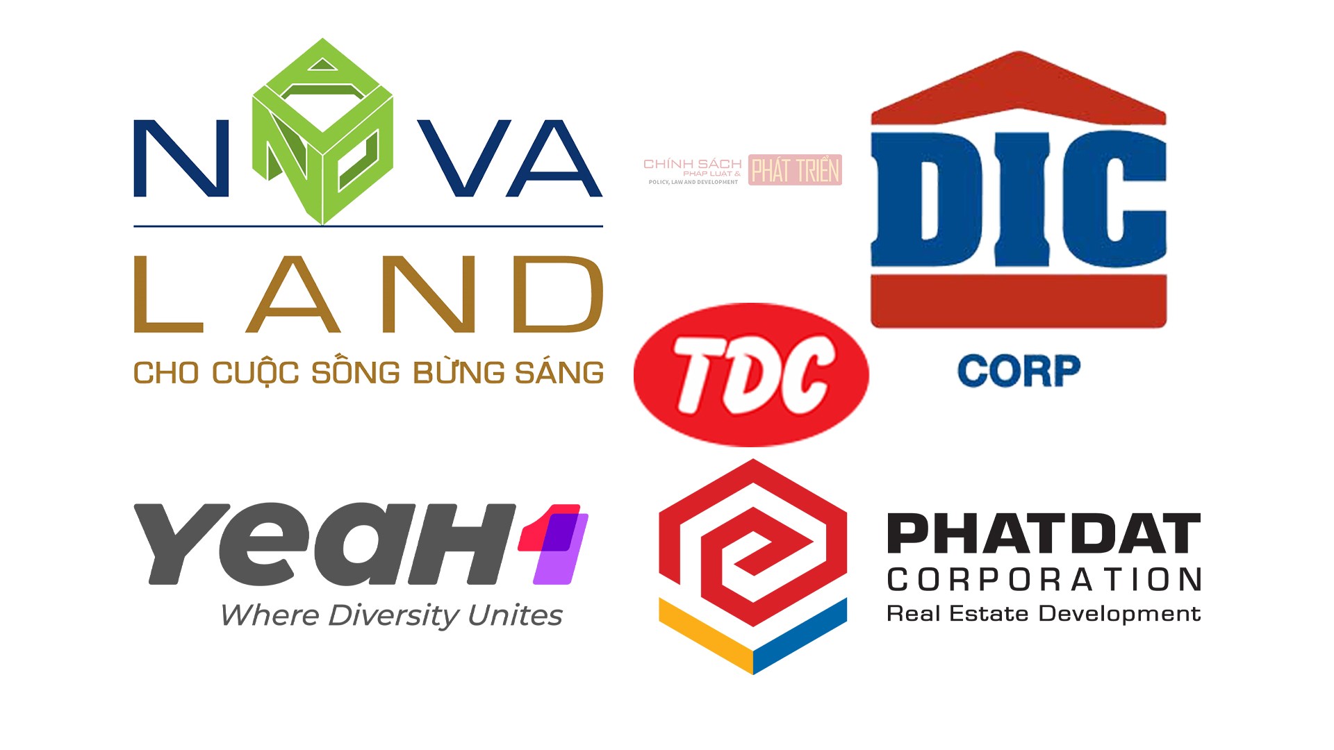 5 doanh nghiệp nói gì khi cổ phiếu giảm sàn 5 phiên liên tiếp?