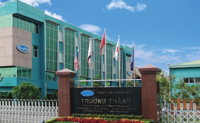 TTF bị cắt margin, một cổ đông lớn Gỗ Trường Thành "ngậm ngùi" cắt lỗ hơn 30 triệu cổ phiếu