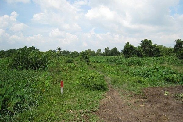 Quy định xác định loại đất để bồi thường thu hồi đất
