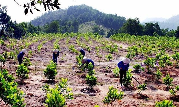 Hành vi nào bị nghiêm cấm trong Dự thảo Luật Đất đai (sửa đổi)?