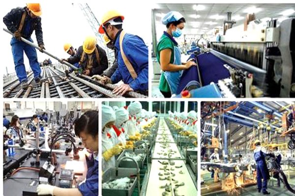 Những xu hướng chính trong năm Quý Mão