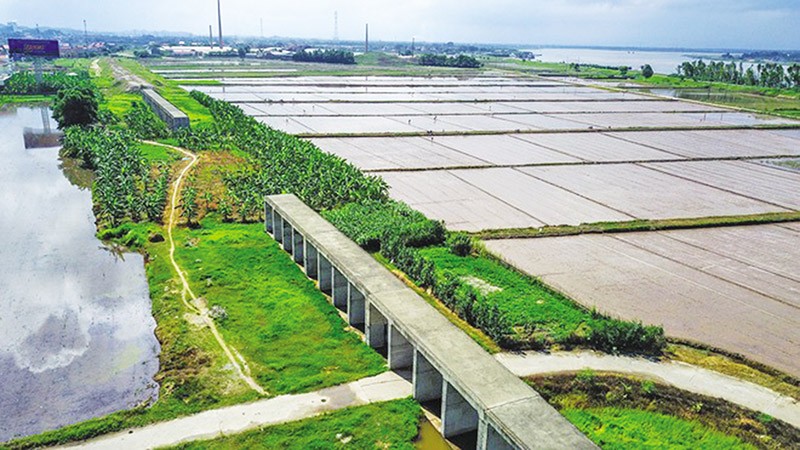Thủ tướng yêu cầu sớm khởi động lại dự án đường sắt Yên Viên – Phả Lại sau 12 năm đình trệ