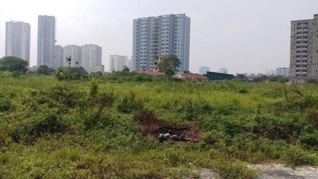 “Sức khoẻ” doanh nghiệp bất động sản ngày càng báo động