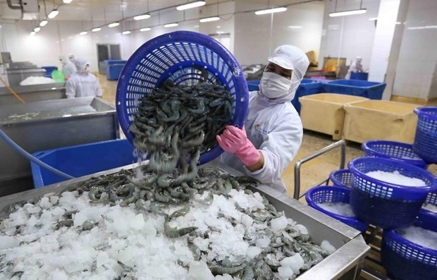 Xuất khẩu tôm sang Nhật Bản vẫn ổn định trong năm 2023