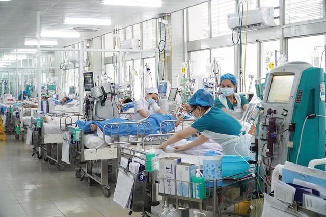 ‘Liều thuốc’ quý cho ngành y
