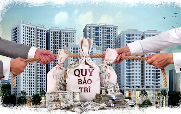 Nhà mới mua đã bắt dân đóng phí bảo trì, chuyên gia kiến nghị gì?