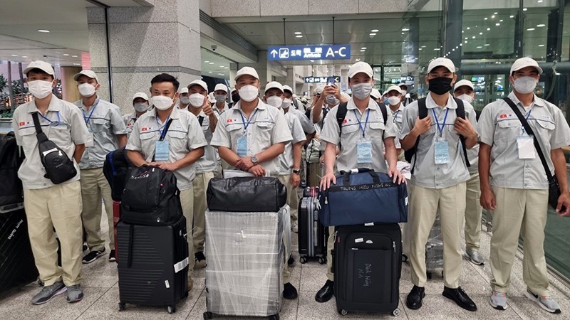 Tuyển chọn hơn 12 nghìn lao động sang Hàn Quốc theo chương trình EPS