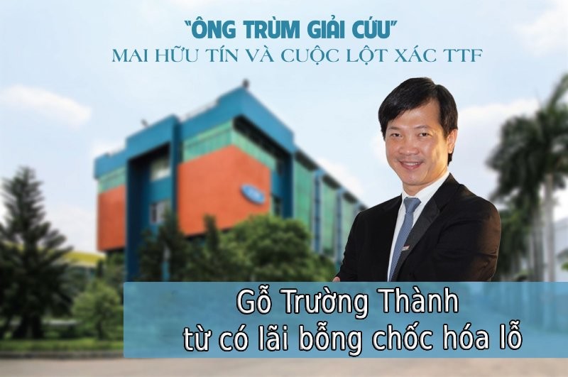 Công ty kiểm toán vào cuộc, Gỗ Trường Thành từ có lãi bỗng chốc hóa lỗ hàng tỷ đồng