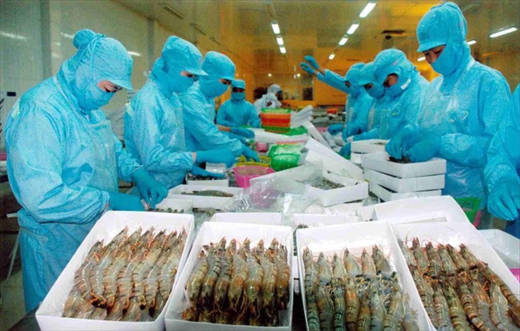 Vua tôm”, “nữ hoàng cá tra” và các doanh nghiệp thủy sản đang làm ăn ra sao?