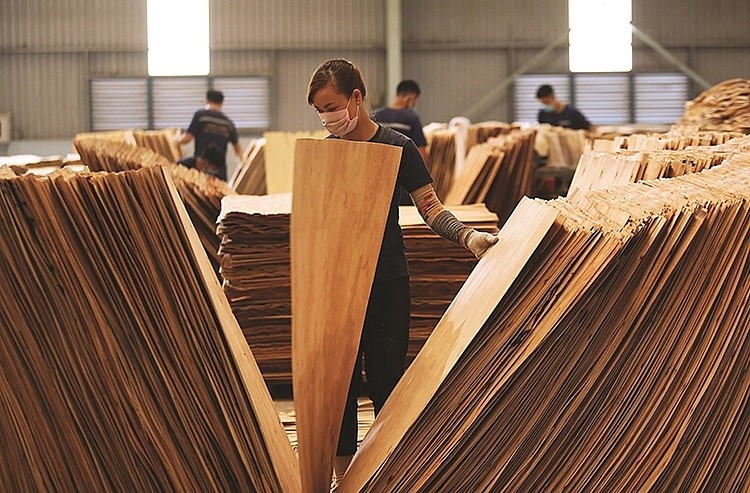 Một mặt hàng của Việt Nam khiến Mỹ mạnh tay chi 2 tỷ USD để gom phục vụ nhu cầu trong nước