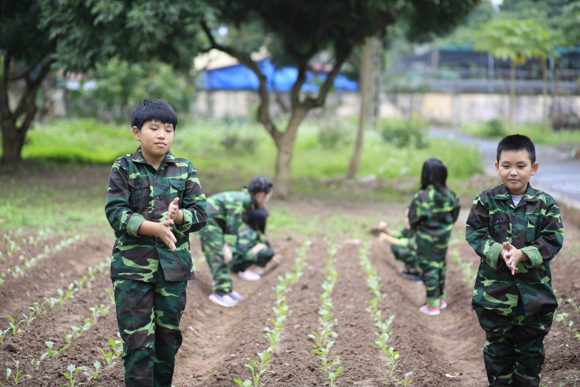 Mở ra ồ ạt, tour trại hè, học kỳ quân đội bớt ‘nóng’