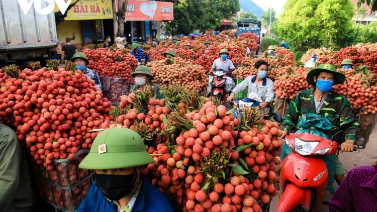 Bất ngờ “thủ phủ vải thiều” Bắc Giang tăng trưởng kinh tế 10,94%, đứng thứ 2 cả nước