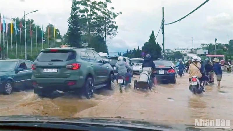 Khẩn trương triển khai các biện pháp hạn chế tình trạng ngập cục bộ tại Đà Lạt
