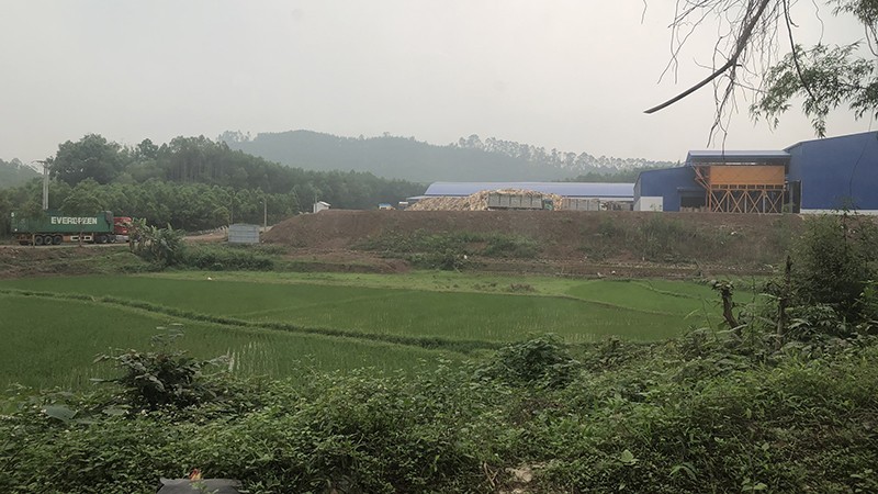 Xử lý dứt điểm sai phạm tại Dự án nhà máy chế biến gỗ ở huyện Yên Thế (Bắc Giang)