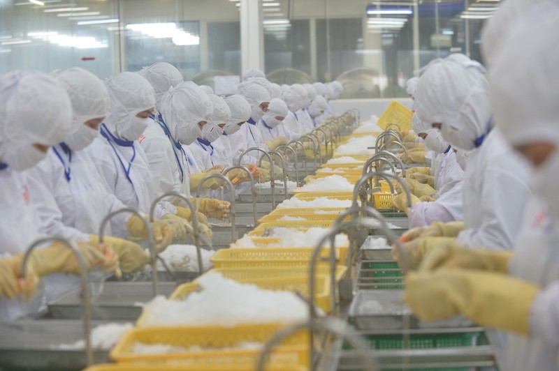 Doanh nghiệp thủy sản “ngóng” phản hồi về bảo hiểm xã hội và PCCC