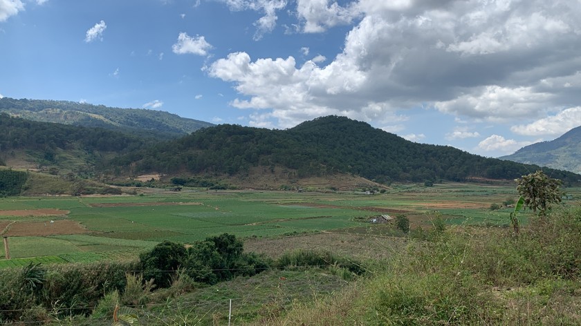 Lâm Đồng: Đề xuất thu hồi loạt dự án được gia hạn tiến độ nhưng chưa thực hiện nghĩa vụ tài chính