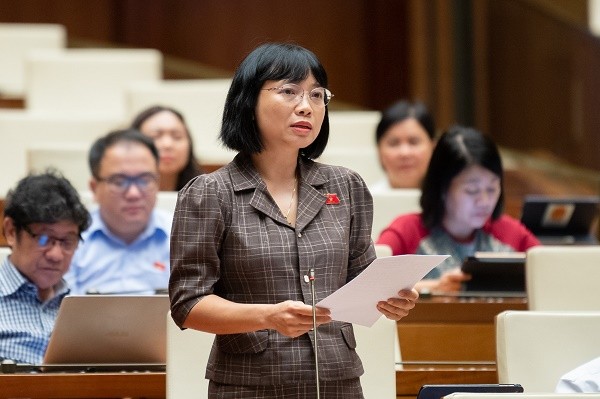 Dự thảo Luật Đất đai (sửa đổi): Quy định về khái niệm chiếm đất chưa rõ ràng