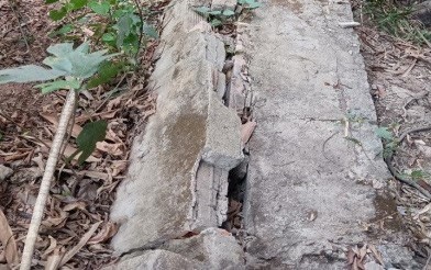 Người dân phản ánh nguy cơ vỡ đê rạch Cầu Làng, phường Hiệp Bình Chánh, thành phố Thủ Đức