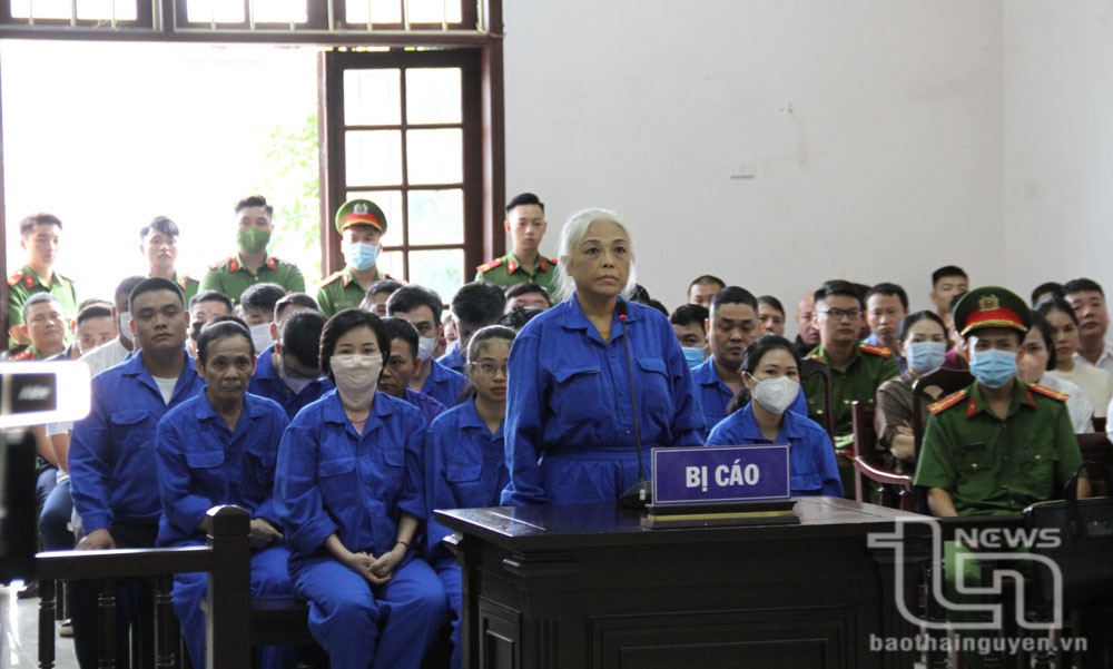 Khai thác trái phép hơn 3 triệu tấn than: Cựu lãnh đạo, cán bộ Sở, giám đốc doanh nghiệp cùng hàng chục bị cáo hầu tòa