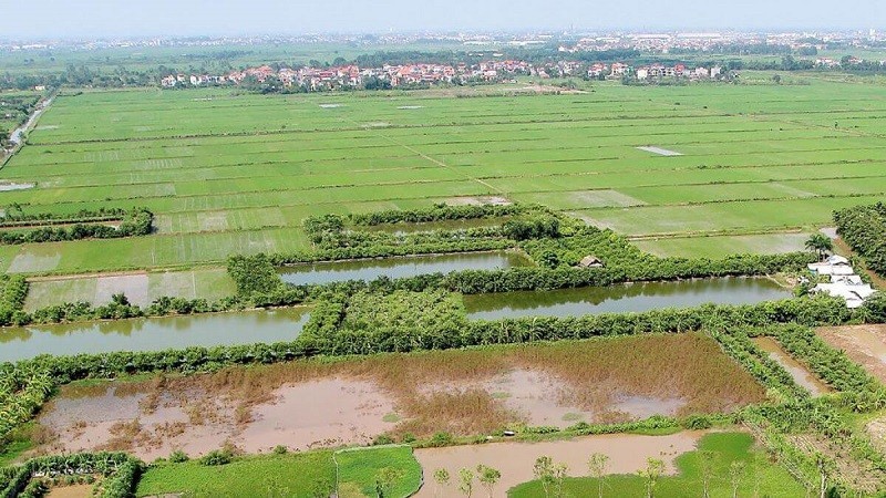 Có được mua đất nông nghiệp ở địa phương khác không?