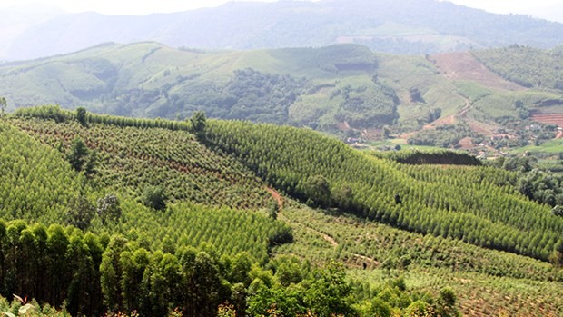 Bắc Giang chuyển mục đích sử dụng 24,45ha rừng để làm 3 dự án