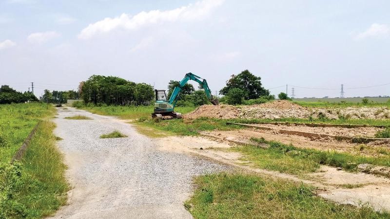 Sắp kiểm tra việc xử lý vi phạm hành chính về đất đai tại 5 huyện Hà Nội