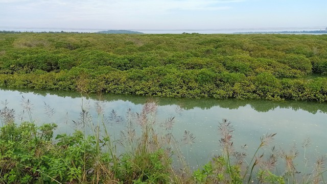 'Dòng chảy mới' cho nông nghiệp Xanh