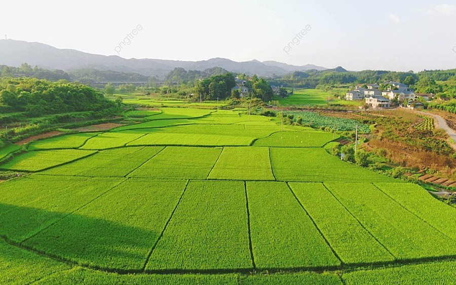 Luật Đất đai 2024: Quy định về trình tự, thủ tục cho phép chuyển mục đích sử dụng đất