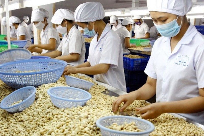 Doanh nghiệp xuất khẩu nông sản “giữ” sự phục hồi bền vững