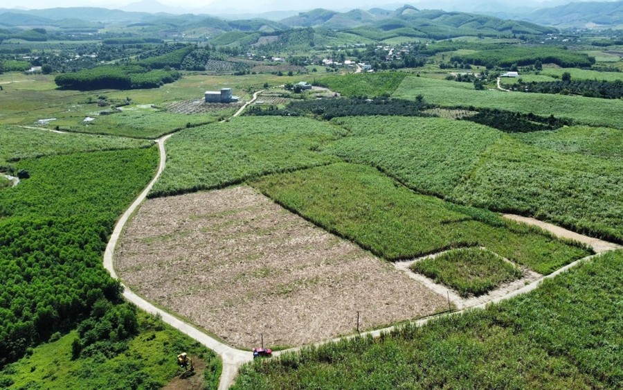 Quy định hạn mức giao đất nông nghiệp