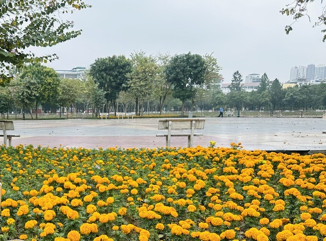 Cần đồng bộ các tiêu chí trong công tác cải tạo, nâng cấp công viên