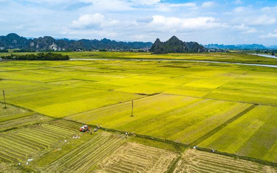 Quy định mới về tích tụ đất nông nghiệp
