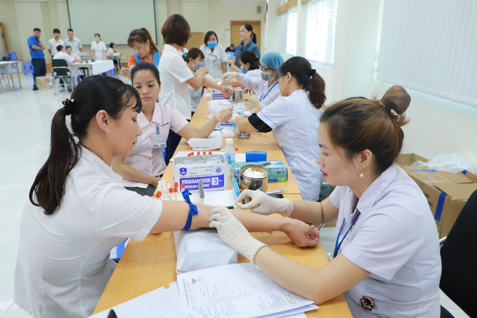 Lao động nữ được hưởng những quyền lợi gì về lao động và BHXH?