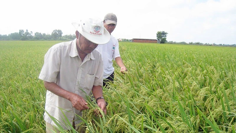 Khoa học, công nghệ ứng phó biến đổi khí hậu