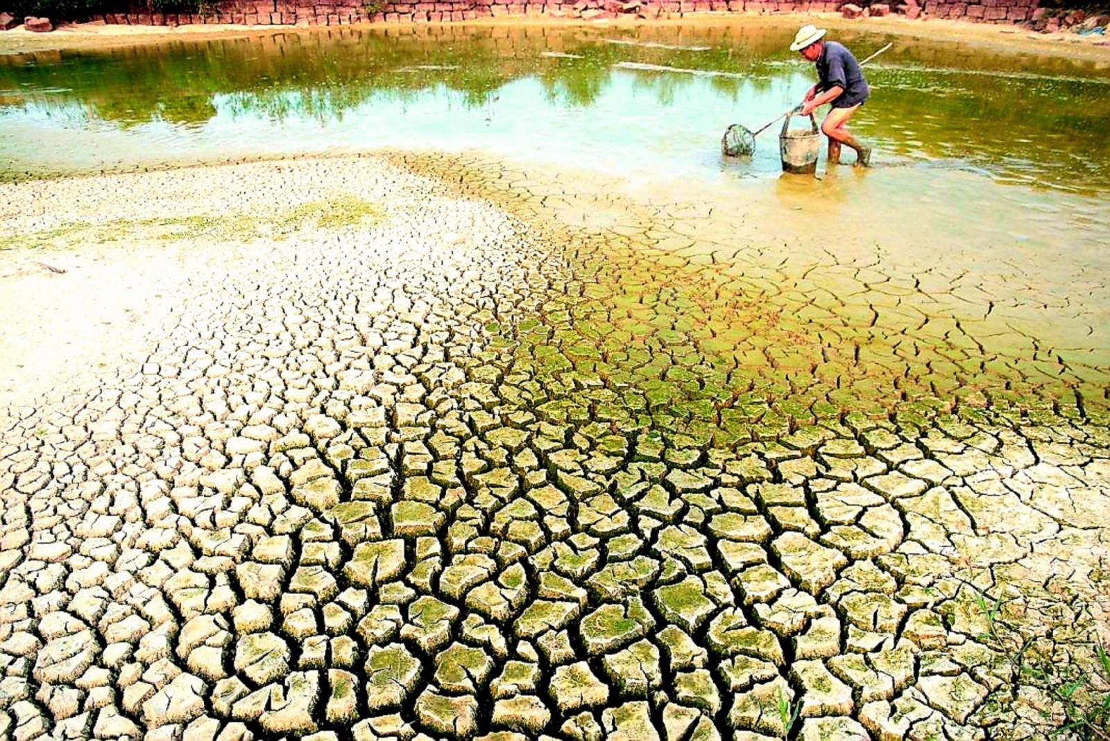 Thủ tướng chỉ đạo tập trung ứng phó đợt xâm nhập mặn cao điểm tại Đồng bằng sông Cửu Long